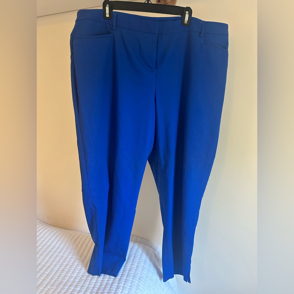 Lane Bryant‎ Vibrant Blue Trousers
